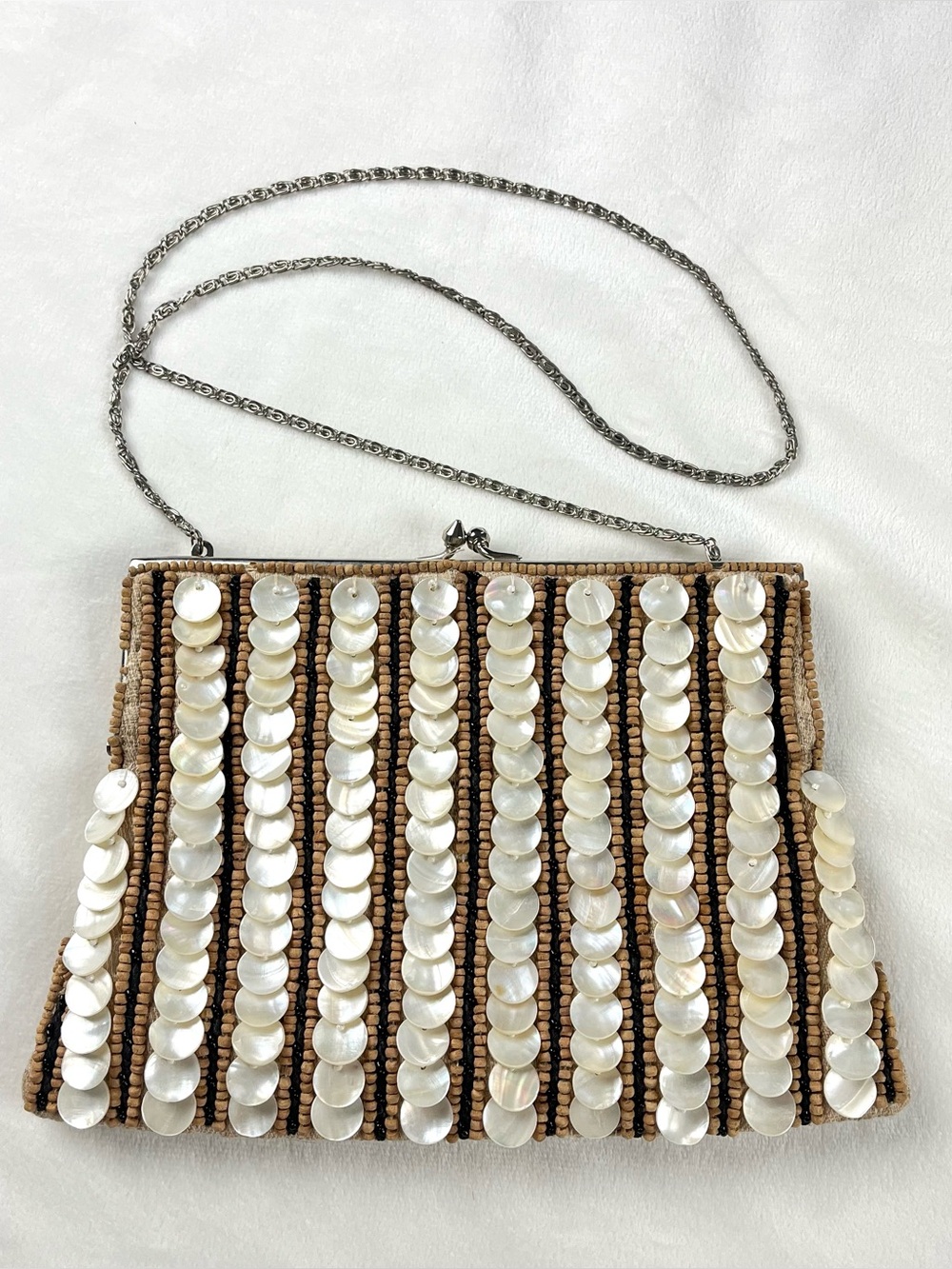 Moyna Mother of Pearl Beaded Clutch Purse